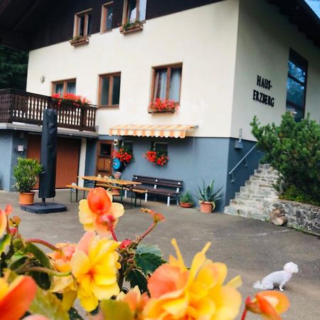 Bed and Breakfast Haus-Erzberg Vordernberg Exterior foto