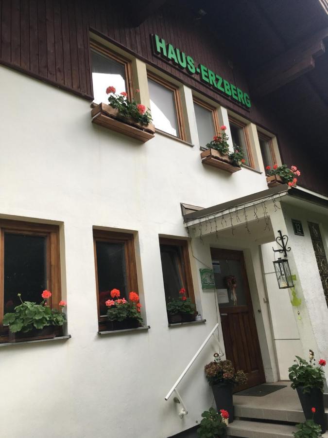 Bed and Breakfast Haus-Erzberg Vordernberg Exterior foto