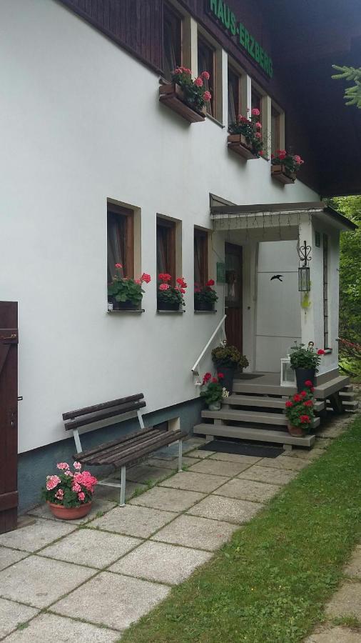 Bed and Breakfast Haus-Erzberg Vordernberg Exterior foto